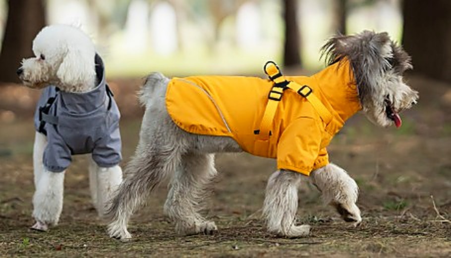 Cani con raincoat impermeabile Giubbottocane