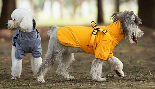 Cani con raincoat impermeabile Giubbottocane